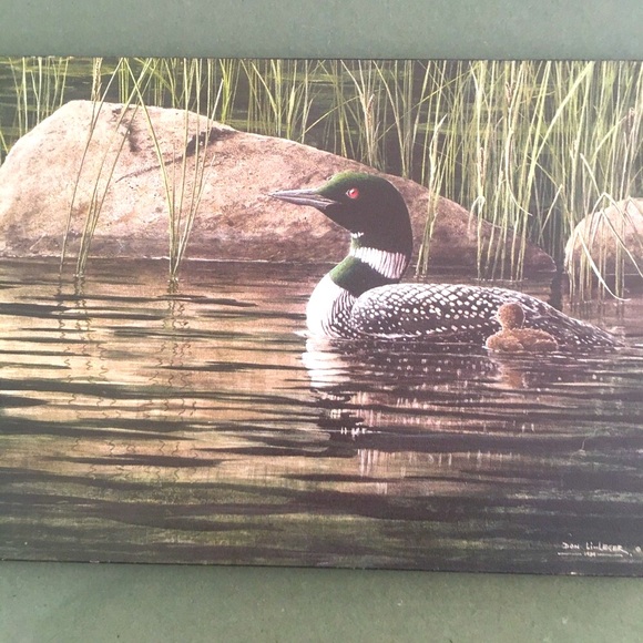 Canadian Loon Family Signed by Artist Don Li-Leger - Picture 7 of 11